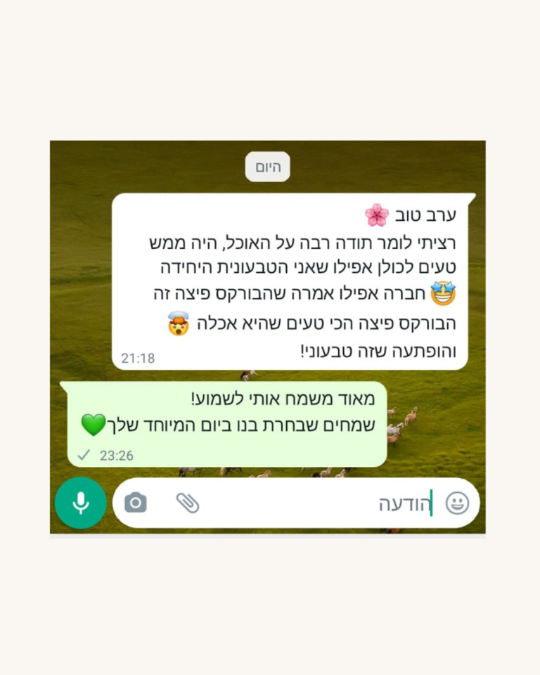 ביקורת 2